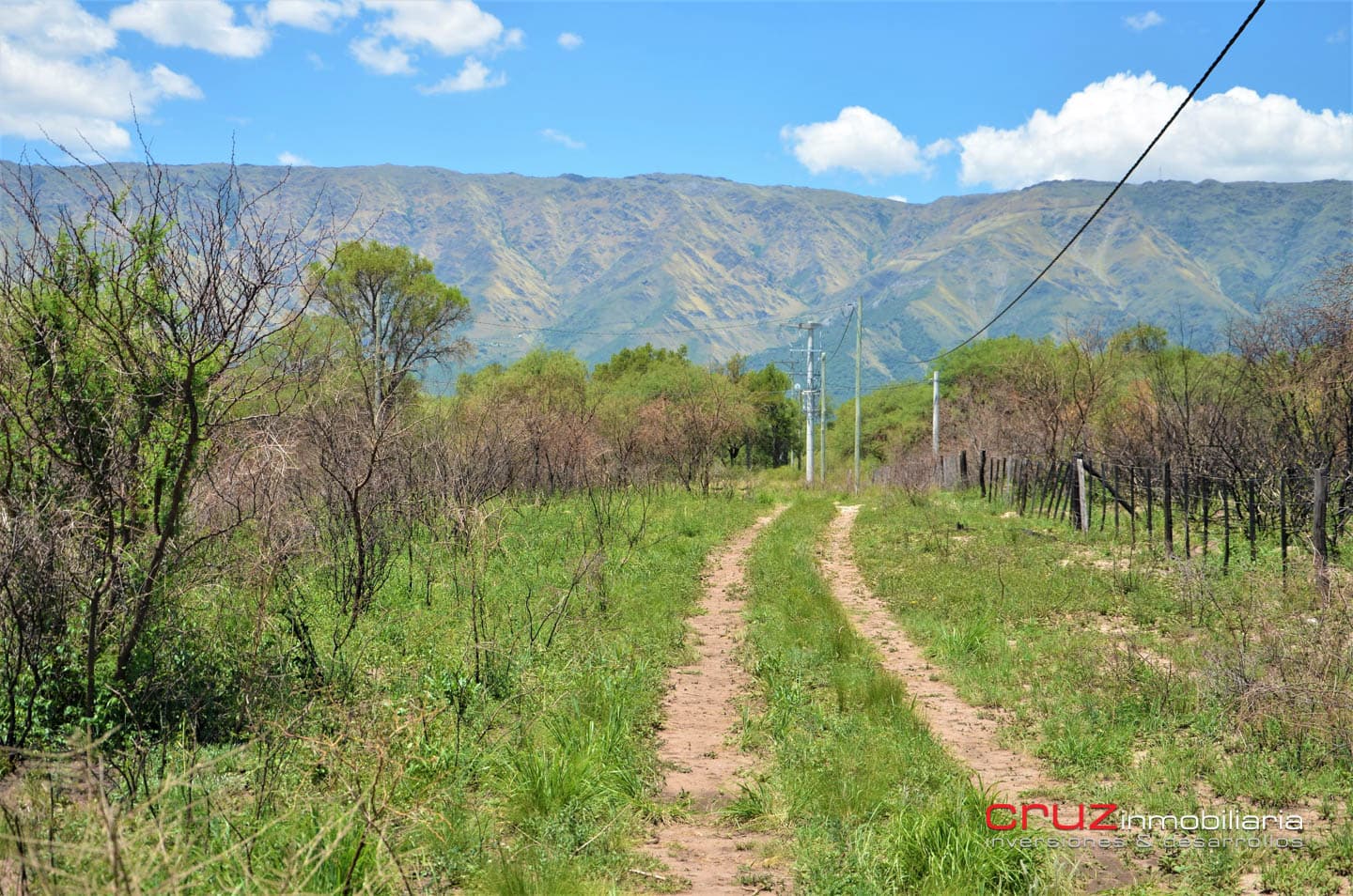 Lotes de 2500m2 en Cerro de Oro - Merlo - imagen 3