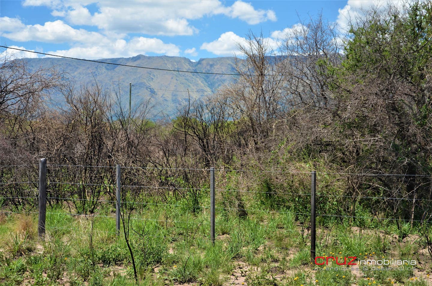 Lotes de 2500m2 en Cerro de Oro - Merlo - imagen 7