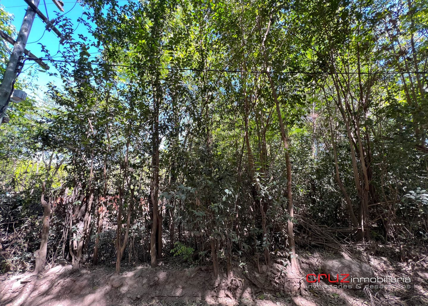 Lote de 1500 m2 en el Rincon, Villa de Merlo - imagen 7