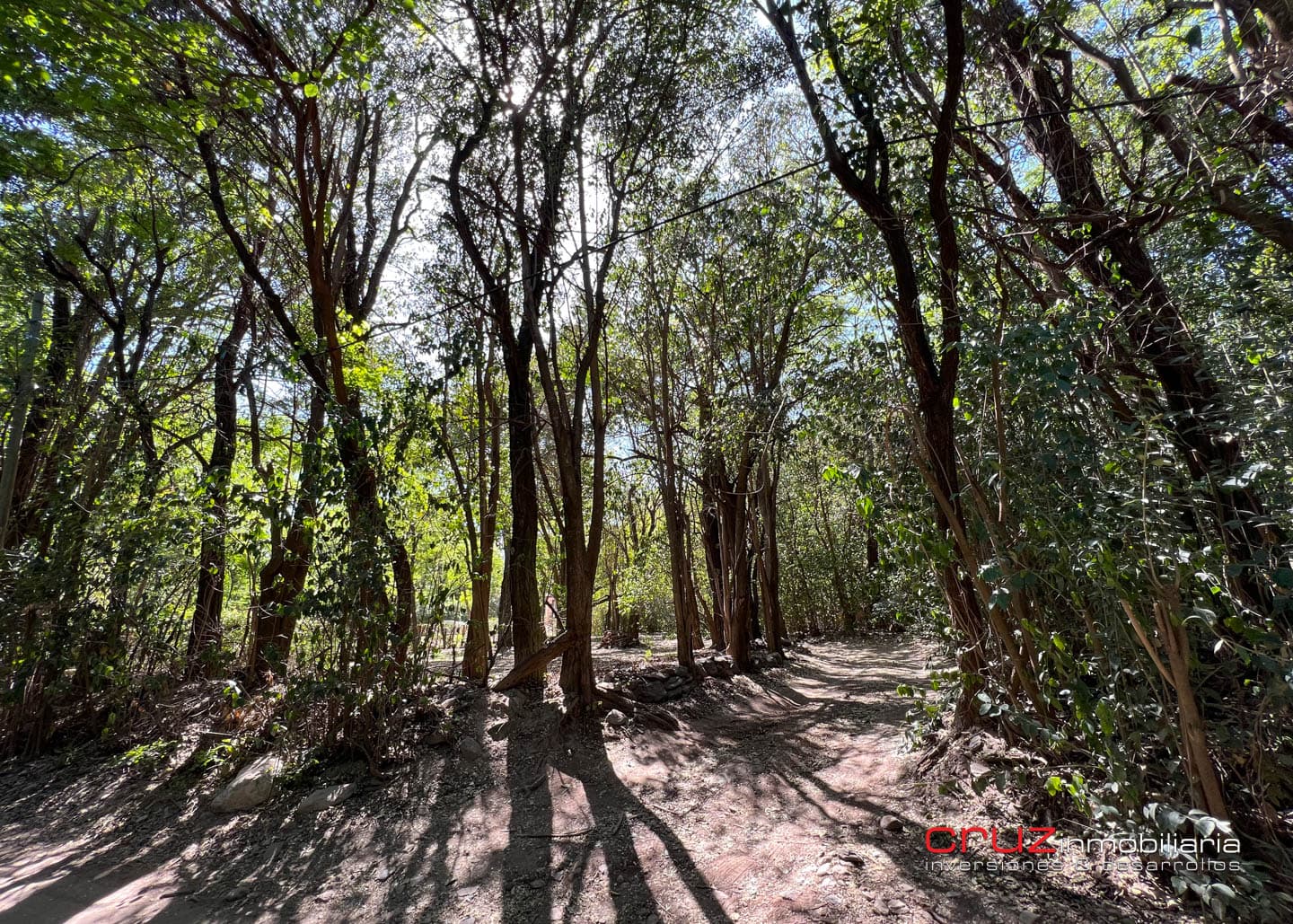 Lote de 1500 m2 en el Rincon, Villa de Merlo - imagen 9