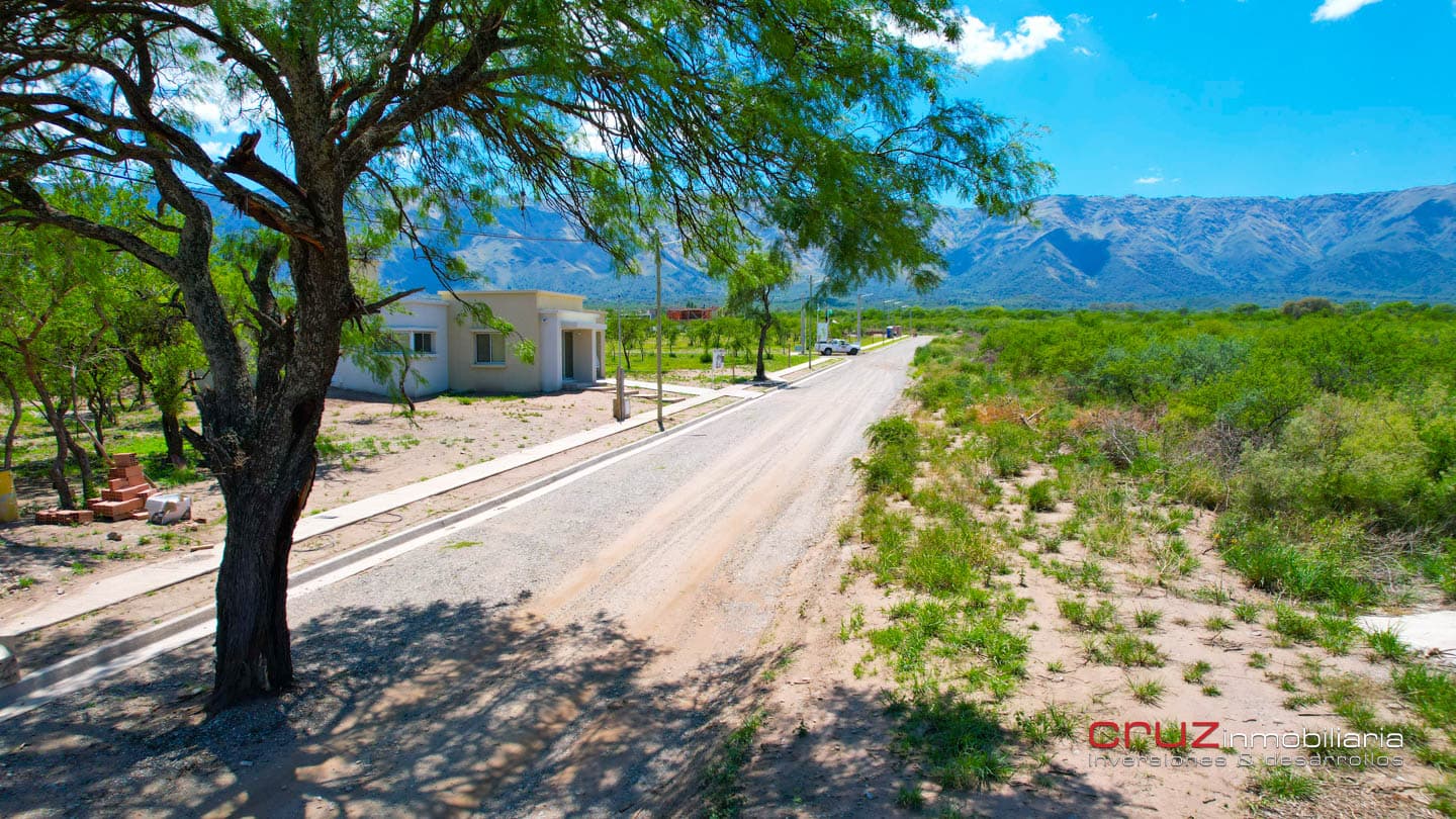 Lotes de 800m2 en Villa de Merlo con GAS NATURAL - La Arbolada - imagen 14