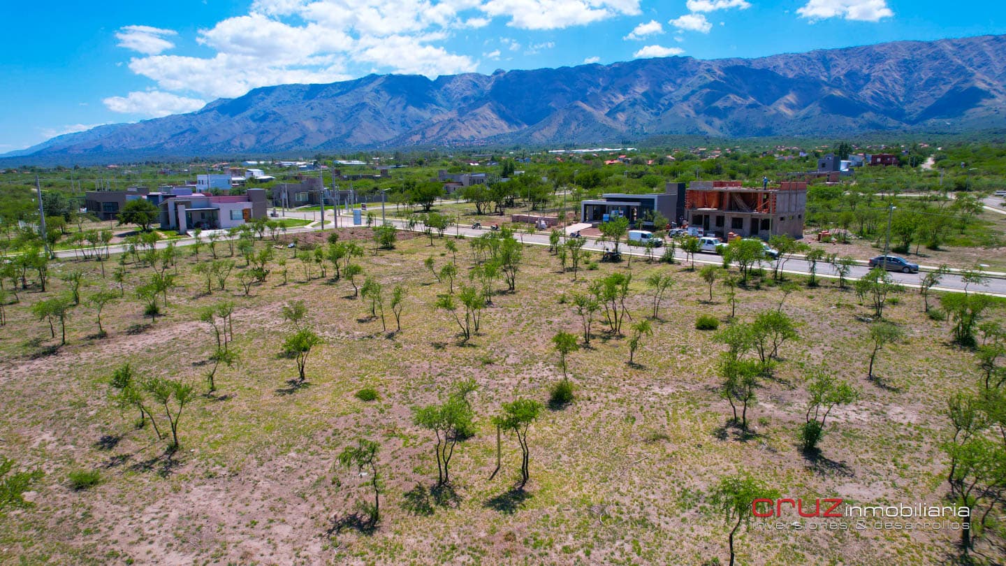 Lotes de 800m2 en Villa de Merlo con GAS NATURAL - La Arbolada - imagen 22