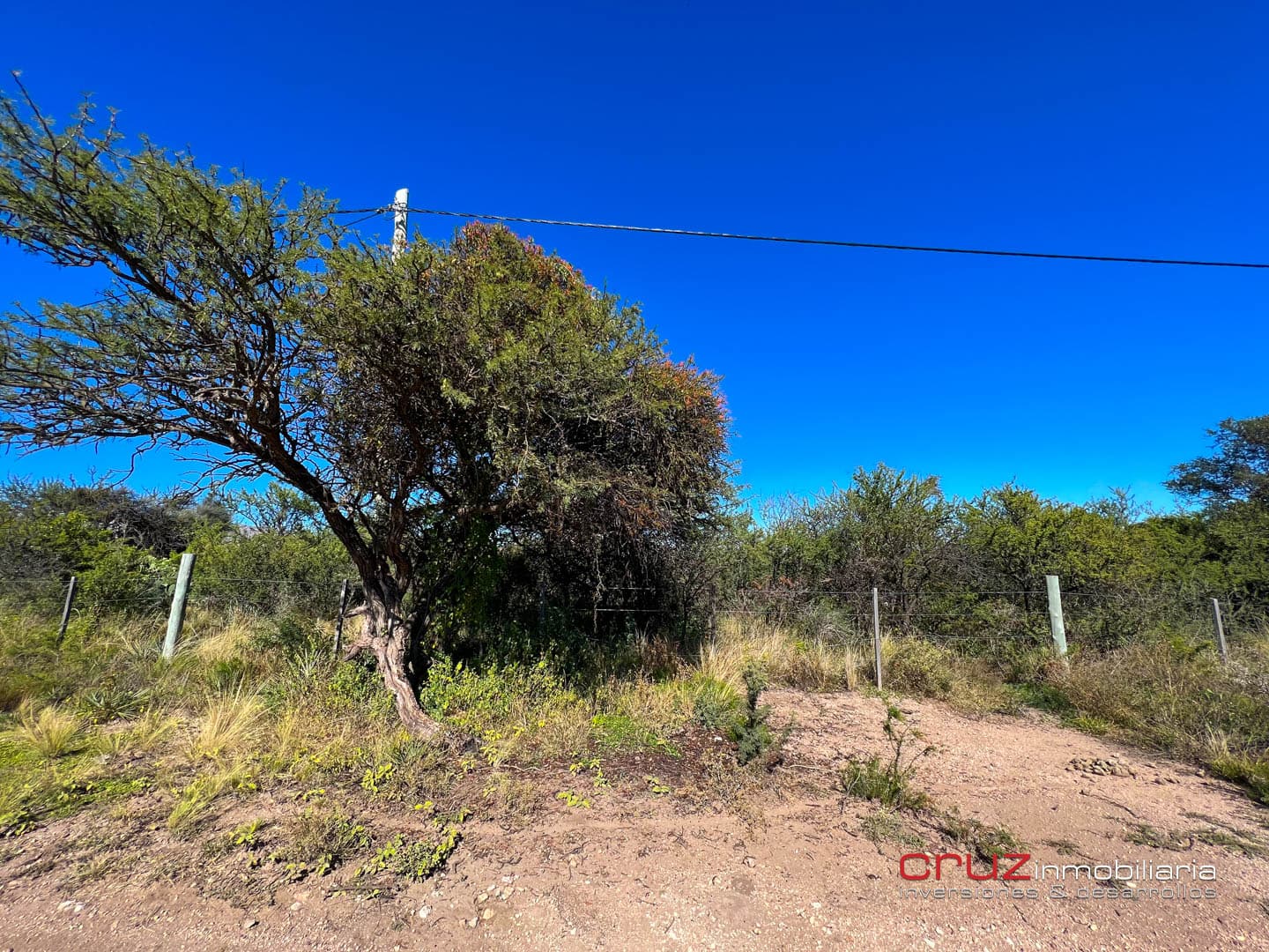 Lote de 5000m2 en San Miguel (Dique Piscu Yaco) - imagen 5