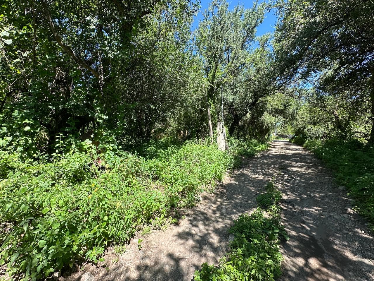 Lote de 2500m2 en Zona Alta de Carpintería