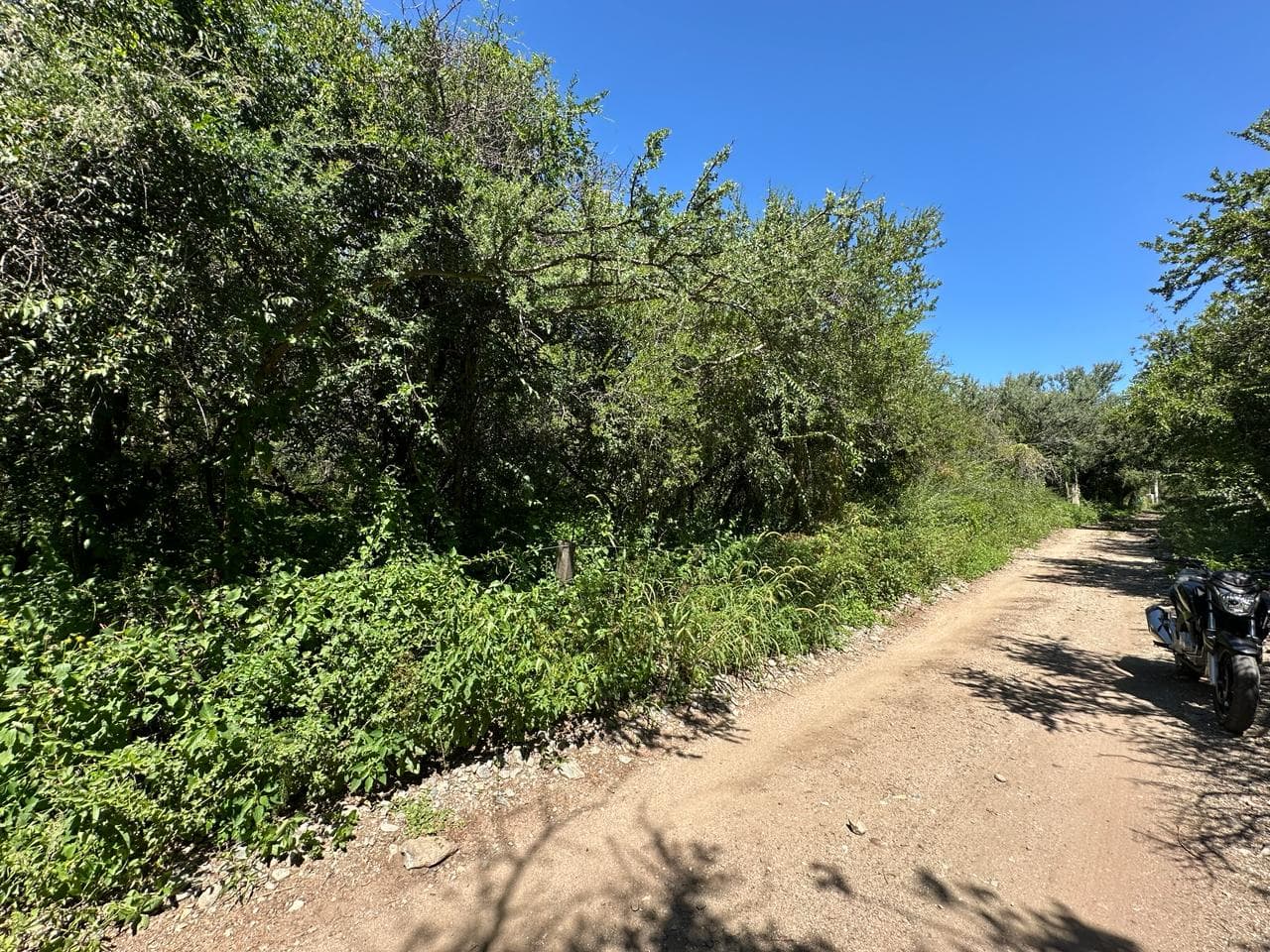 Lote de 2500m2 en Zona Alta de Carpintería - imagen 6