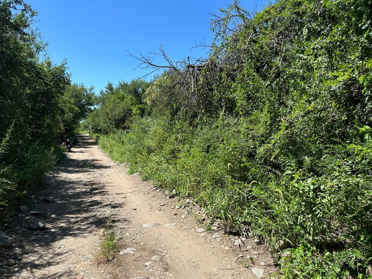 Lote de 2500m2 en Zona Alta de Carpintería