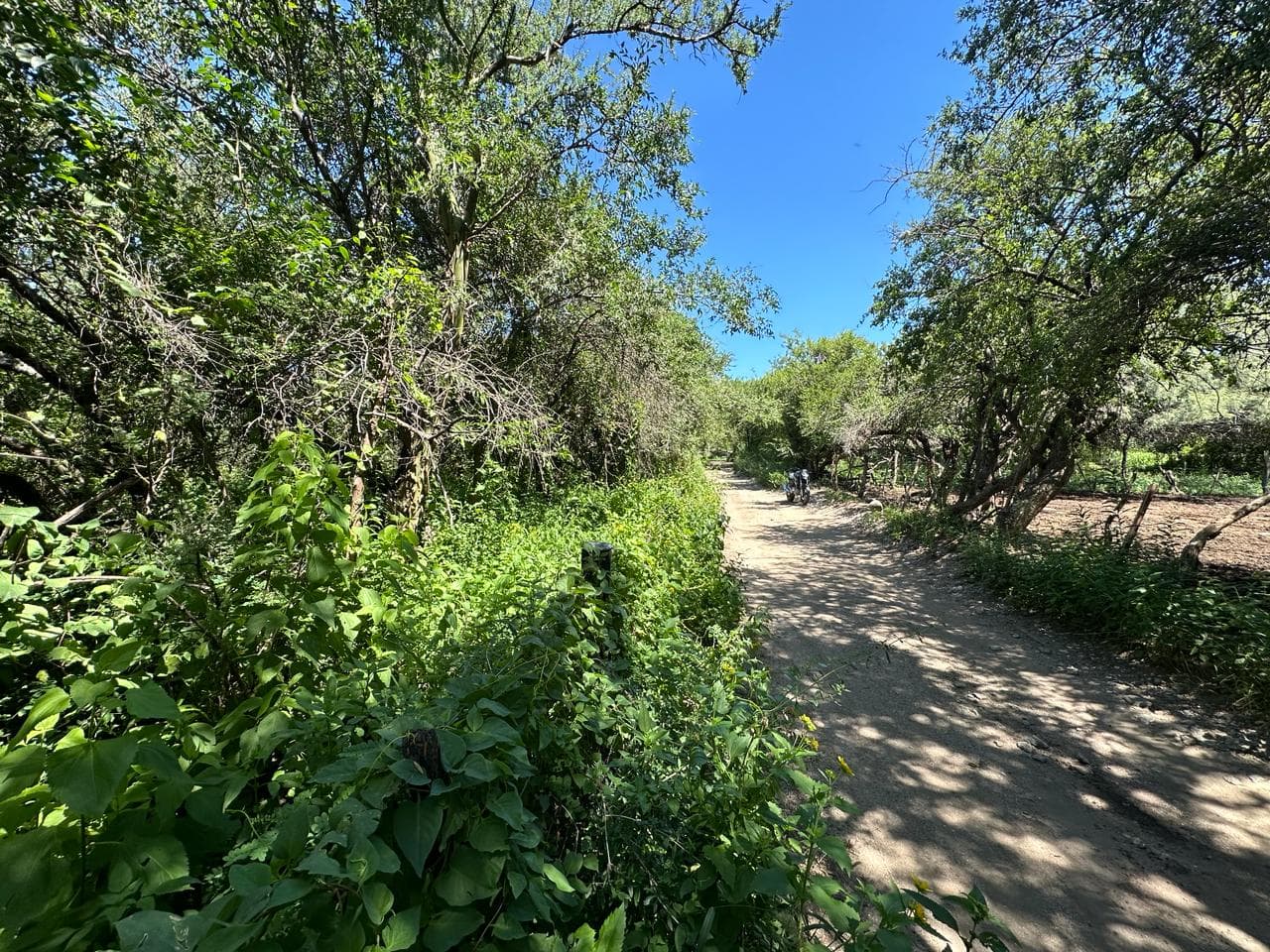 Lote de 2500m2 en Zona Alta de Carpintería - imagen 7