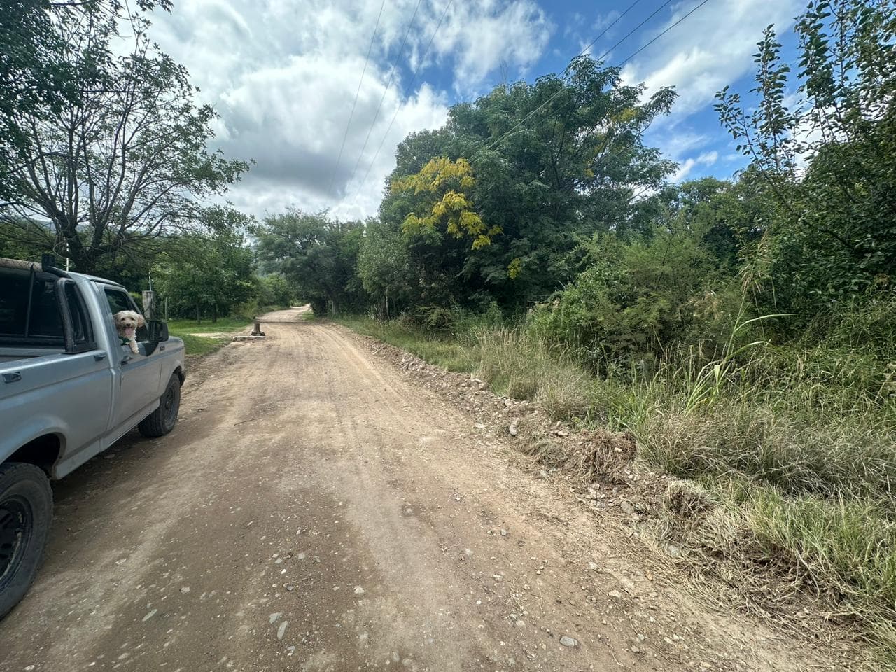 Lote de 1593m2 en Cerro de Oro - imagen 10