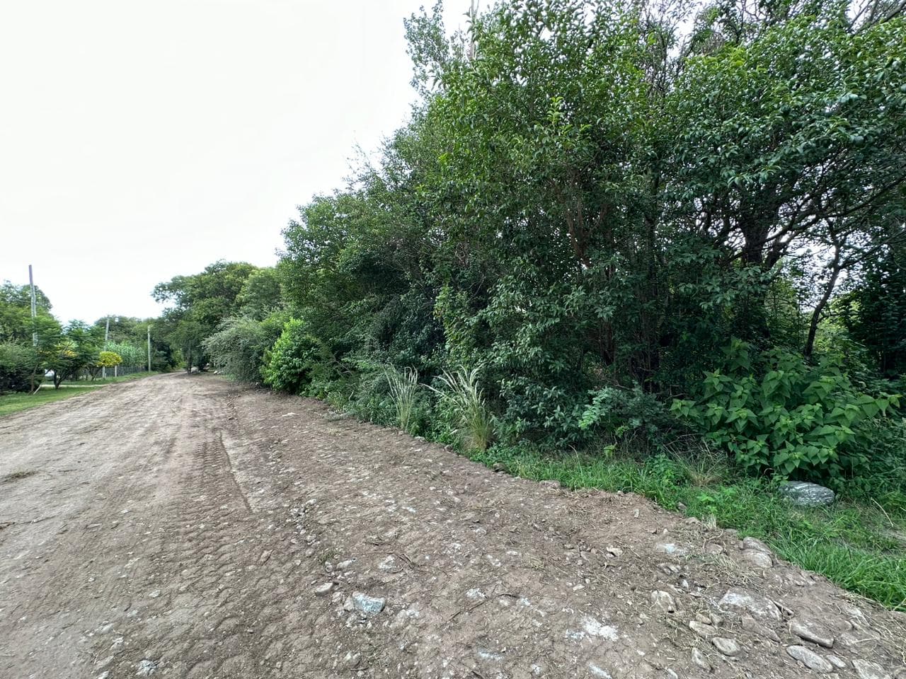 Lote de 1593m2 en Cerro de Oro - imagen 4