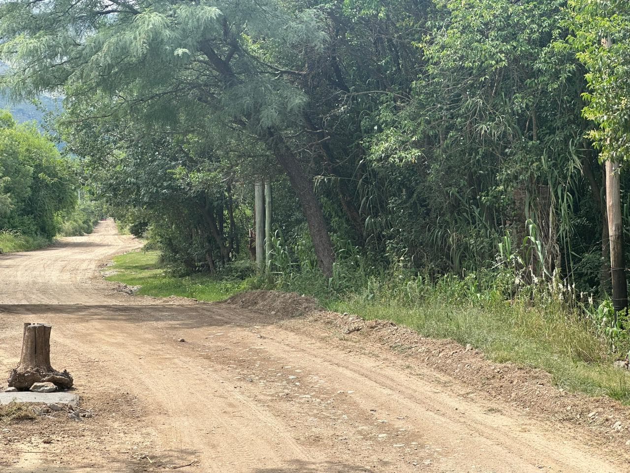 Lote de 1593m2 en Cerro de Oro - imagen 11