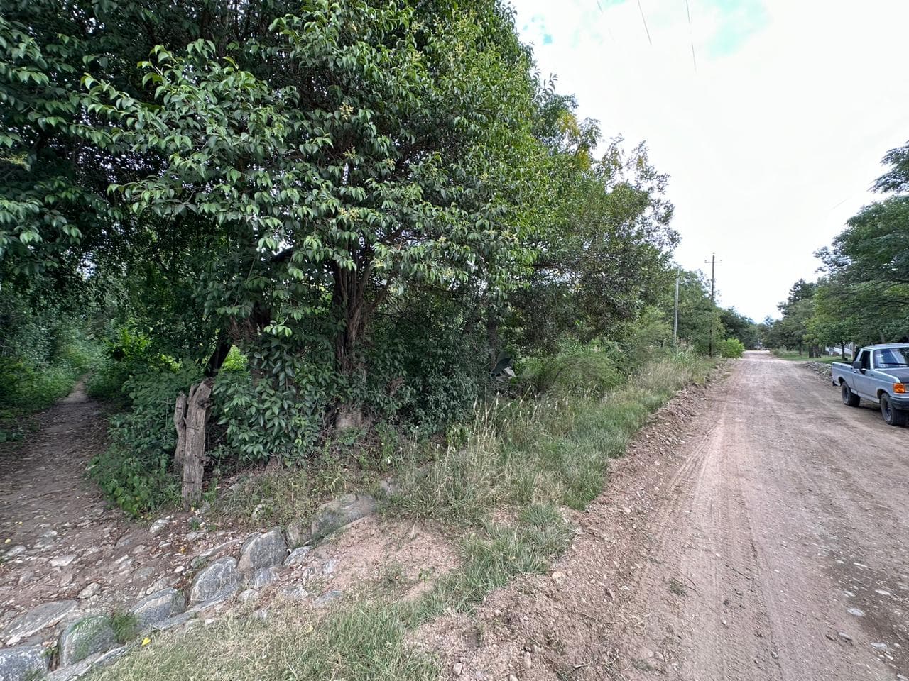 Lote de 1593m2 en Cerro de Oro