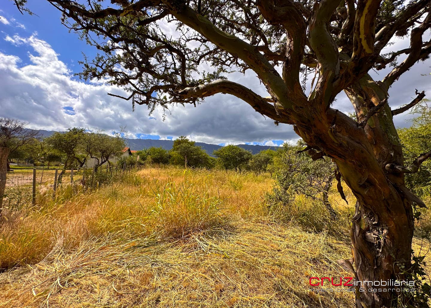 Lote de 1250m2 en Moreras 2 - imagen 12