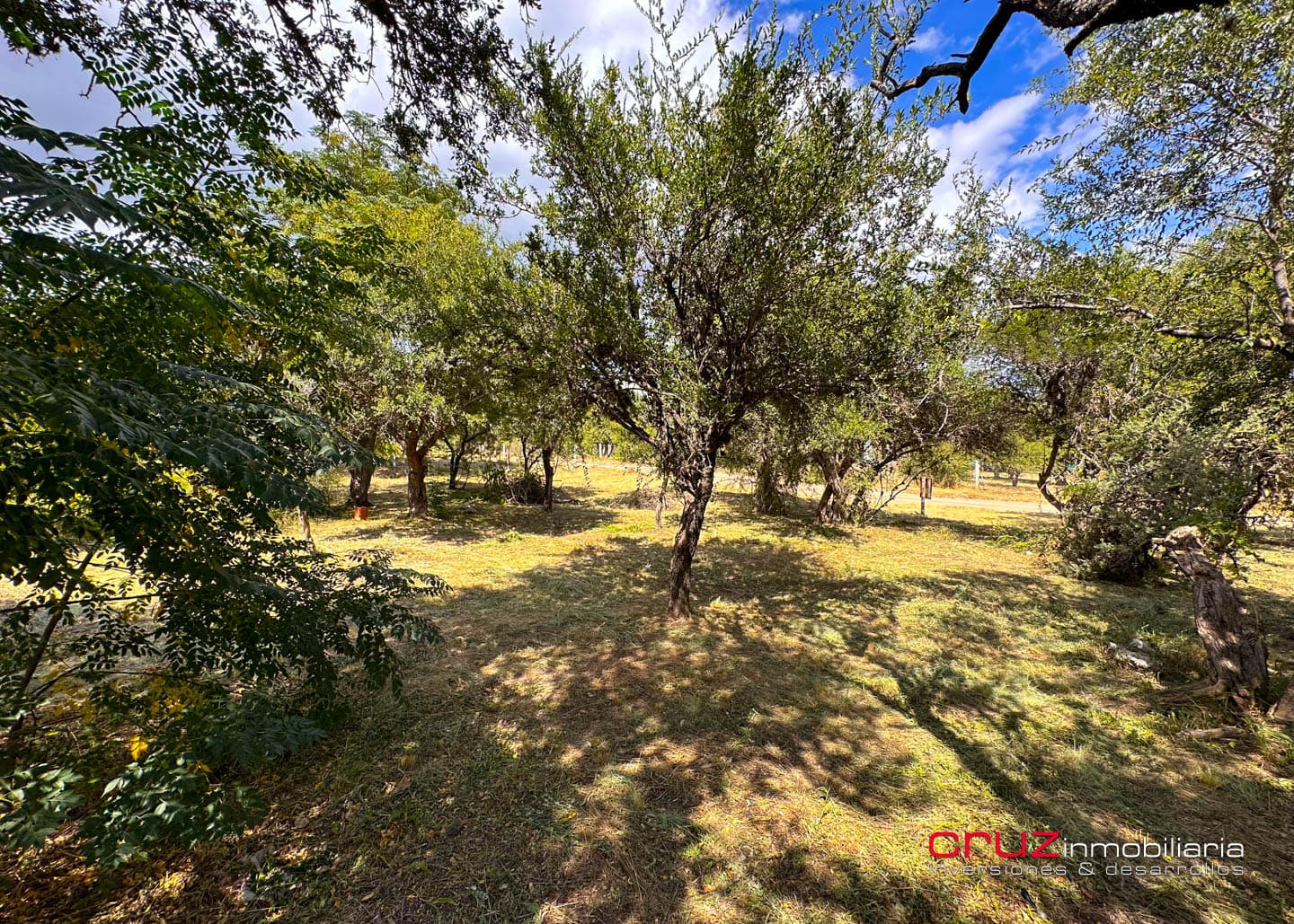 Lote de 1250m2 en Moreras 2 - imagen 7