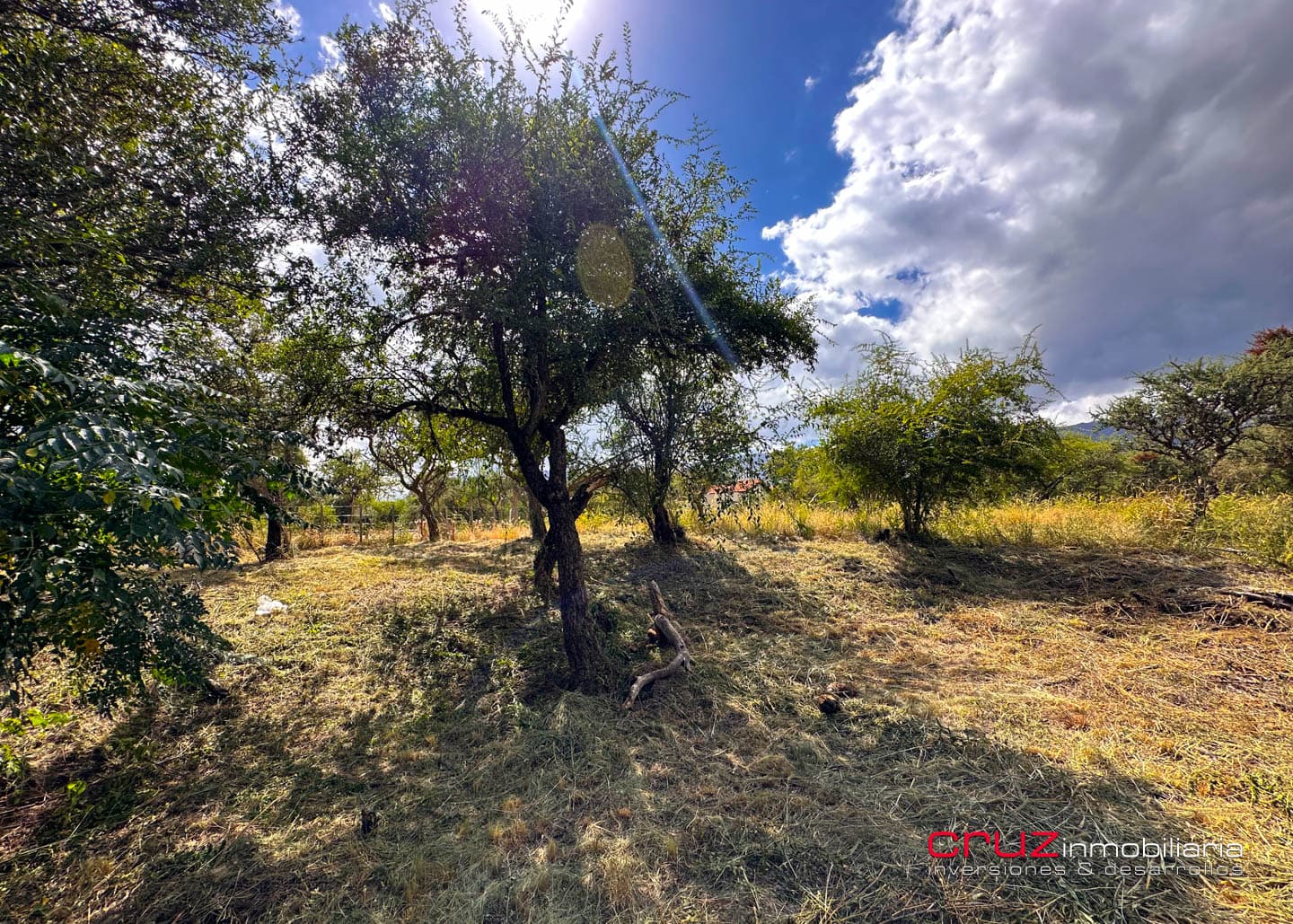 Lote de 1250m2 en Moreras 2 - imagen 10