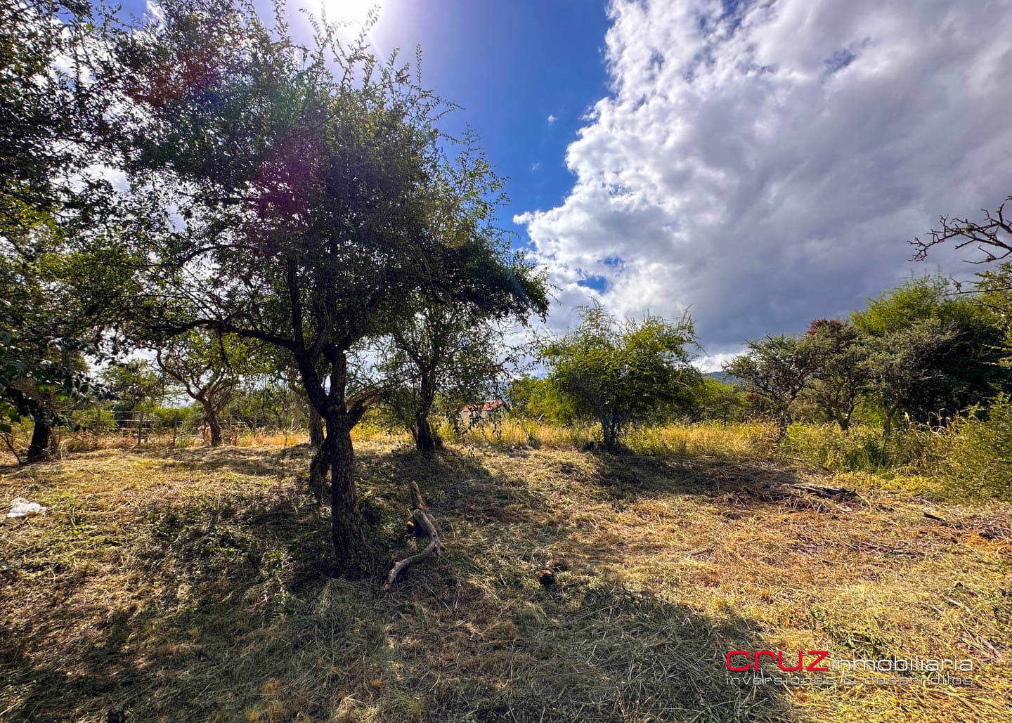 Lote de 1250m2 en Moreras 2 - imagen 9