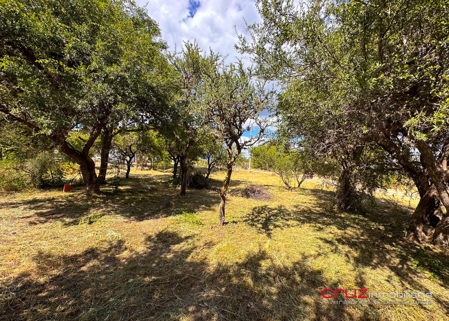 Lote de 1250m2 en Moreras 2 - imagen 6