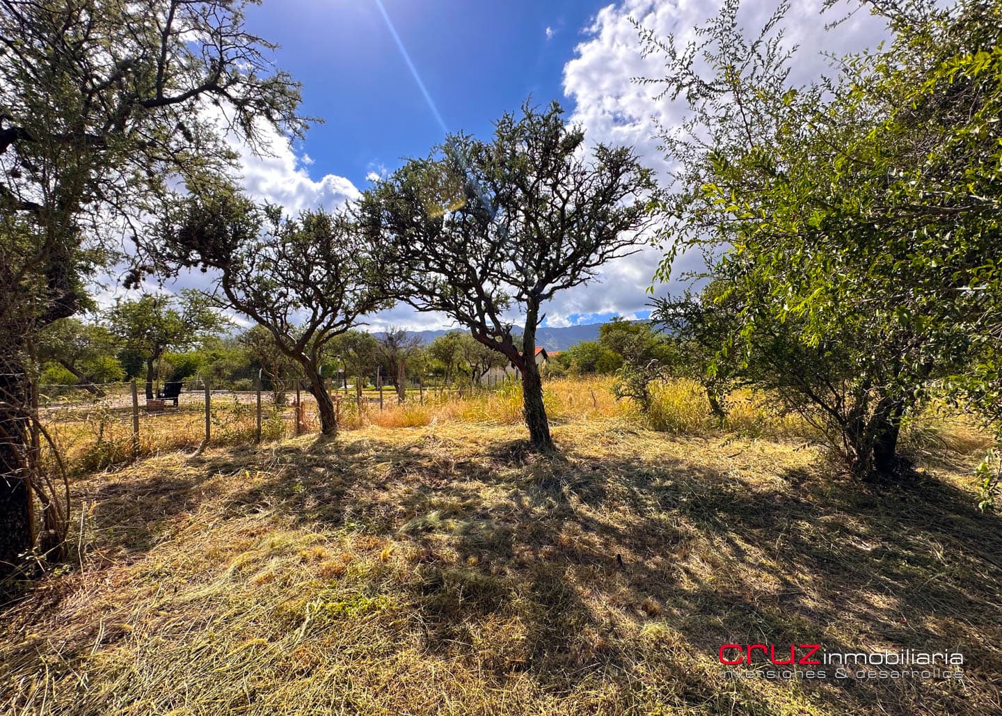 Lote de 1250m2 en Moreras 2 - imagen 11