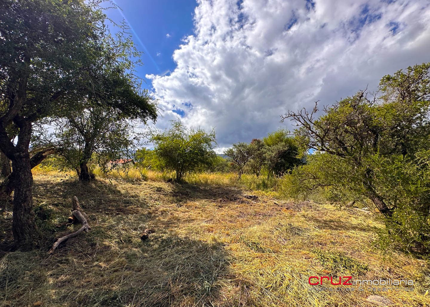Lote de 1250m2 en Moreras 2 - imagen 8
