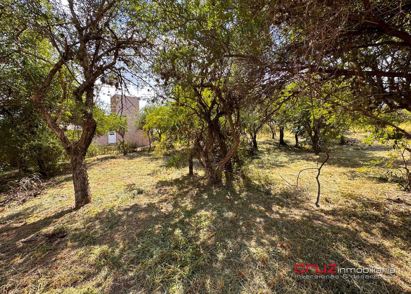 Lote de 1250m2 en Moreras 2 - imagen 5