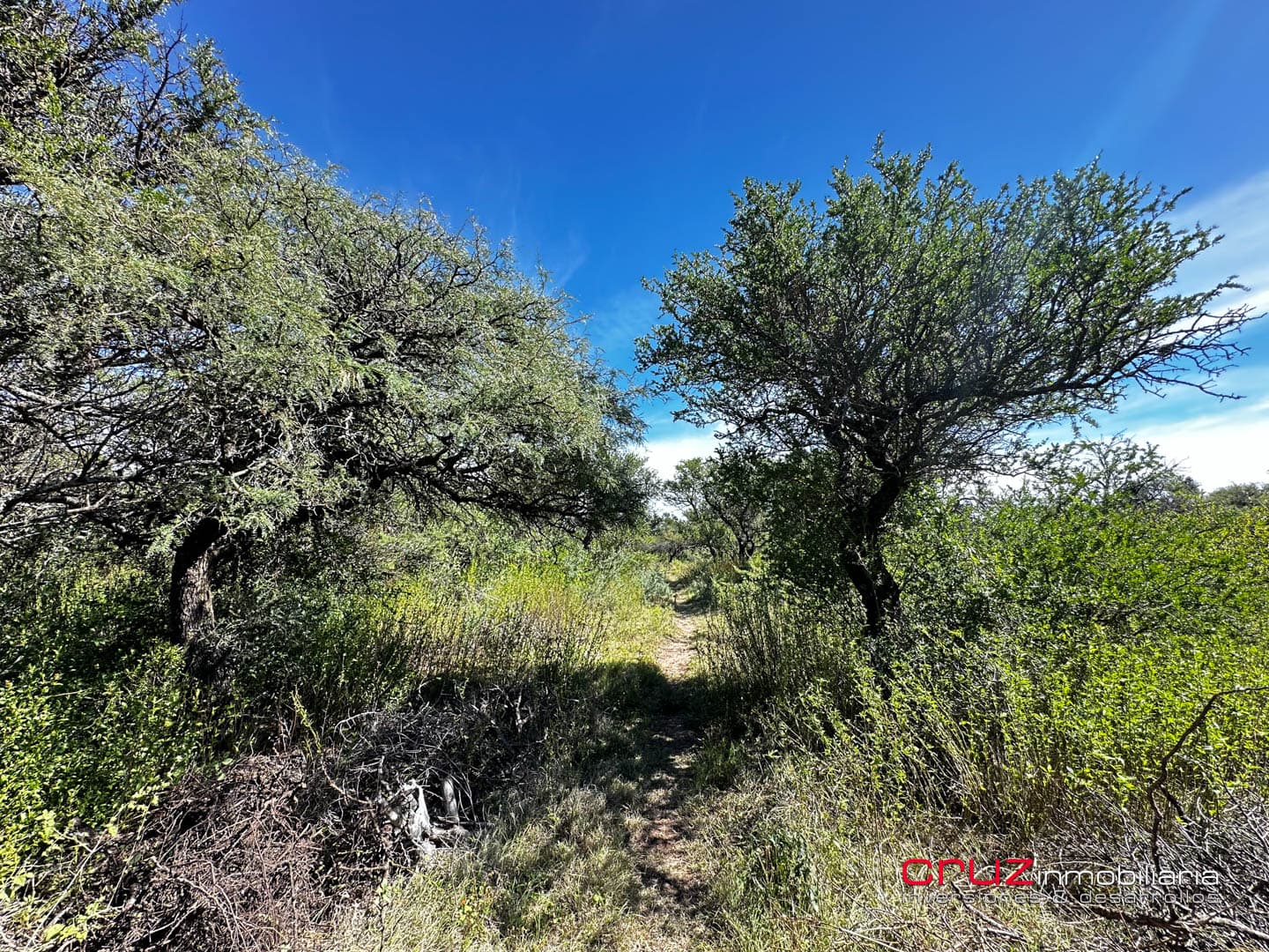 Lote de 4000m2 en San Miguel - imagen 10