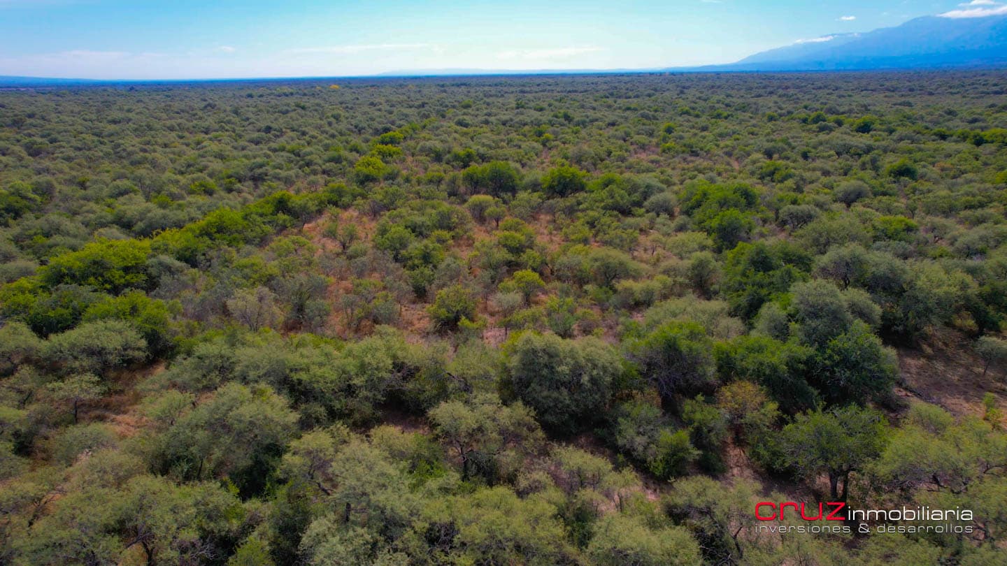 1 Hectárea en Piedra Blanca Abajo, Merlo - imagen 4