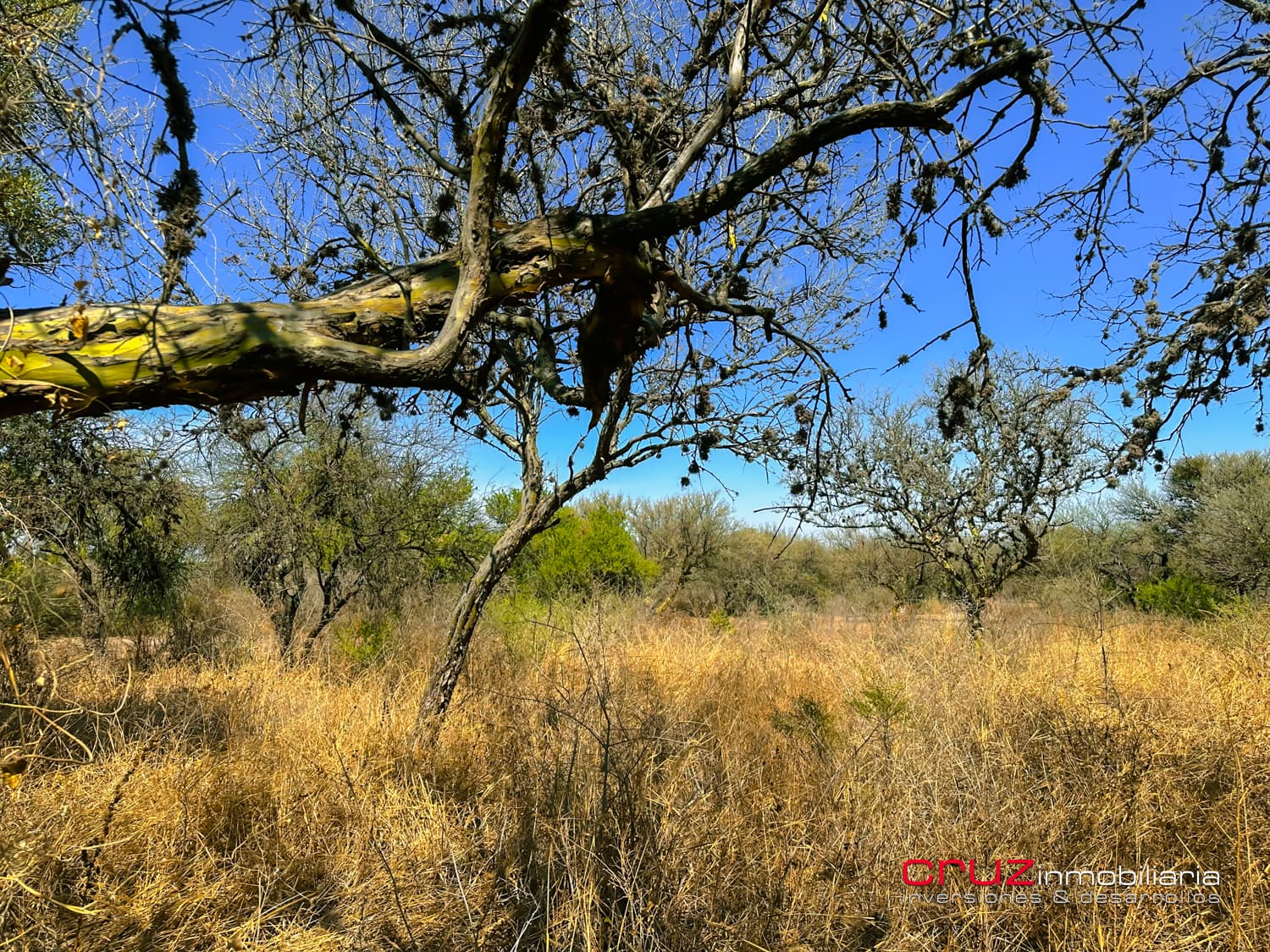 Lote de 2.460m2 en Altos de Carpintería