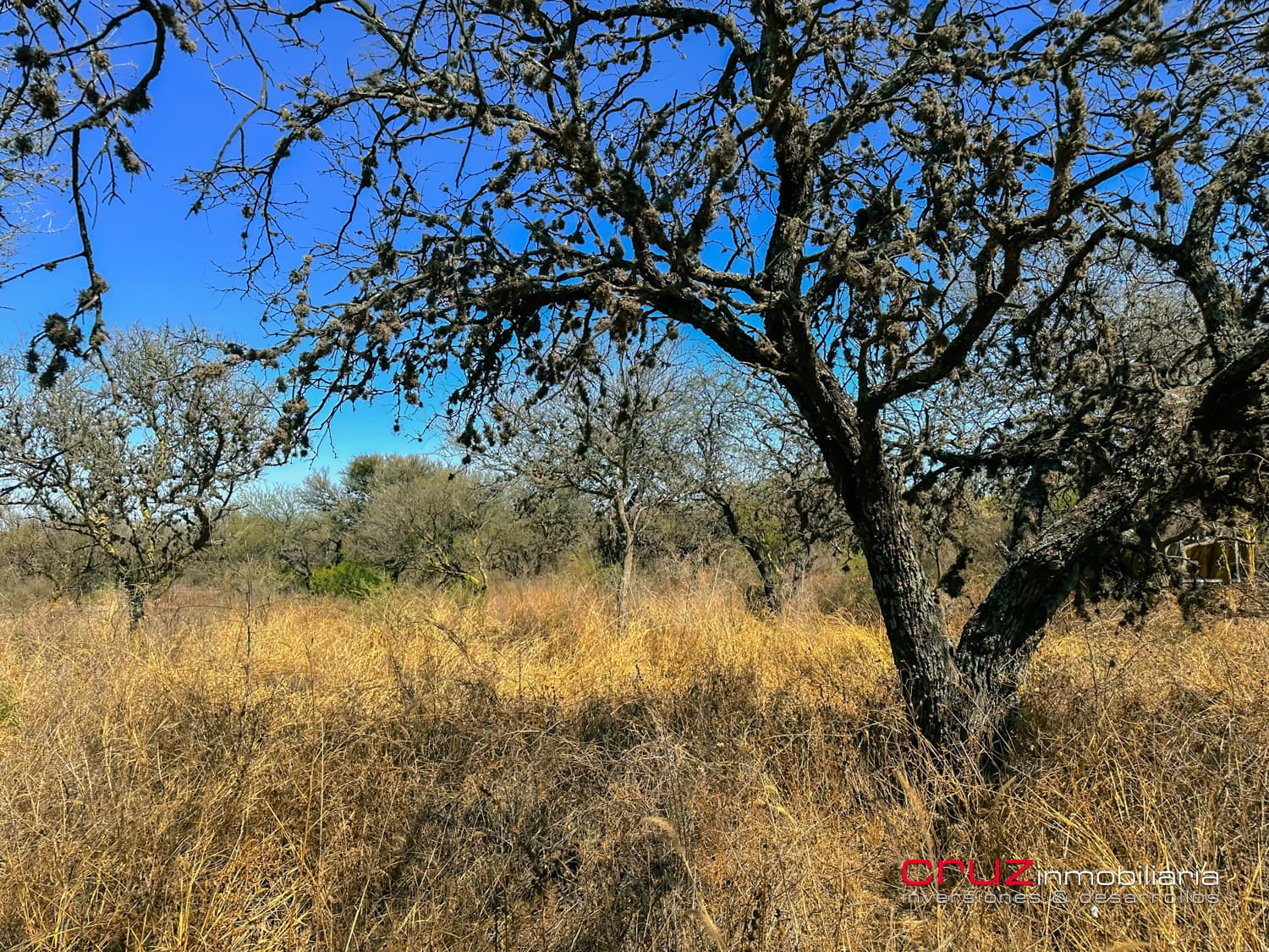 Lote de 2.460m2 en Altos de Carpintería