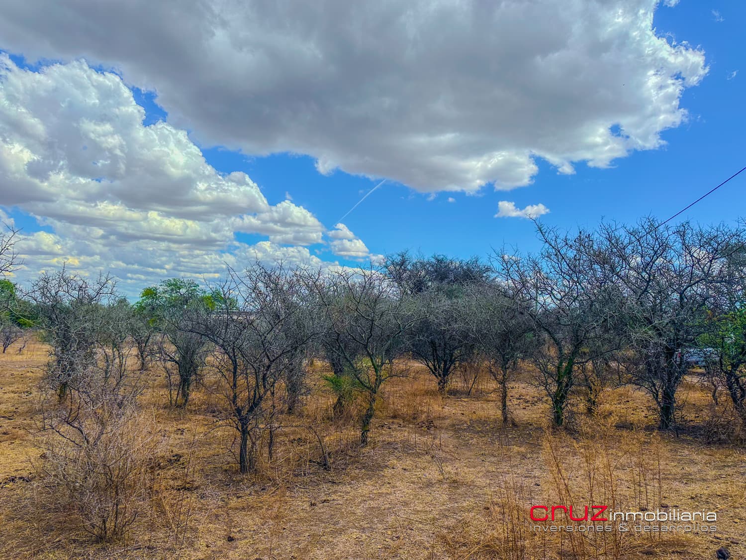 Lote de 2.519m2 en Carpintería - imagen 8