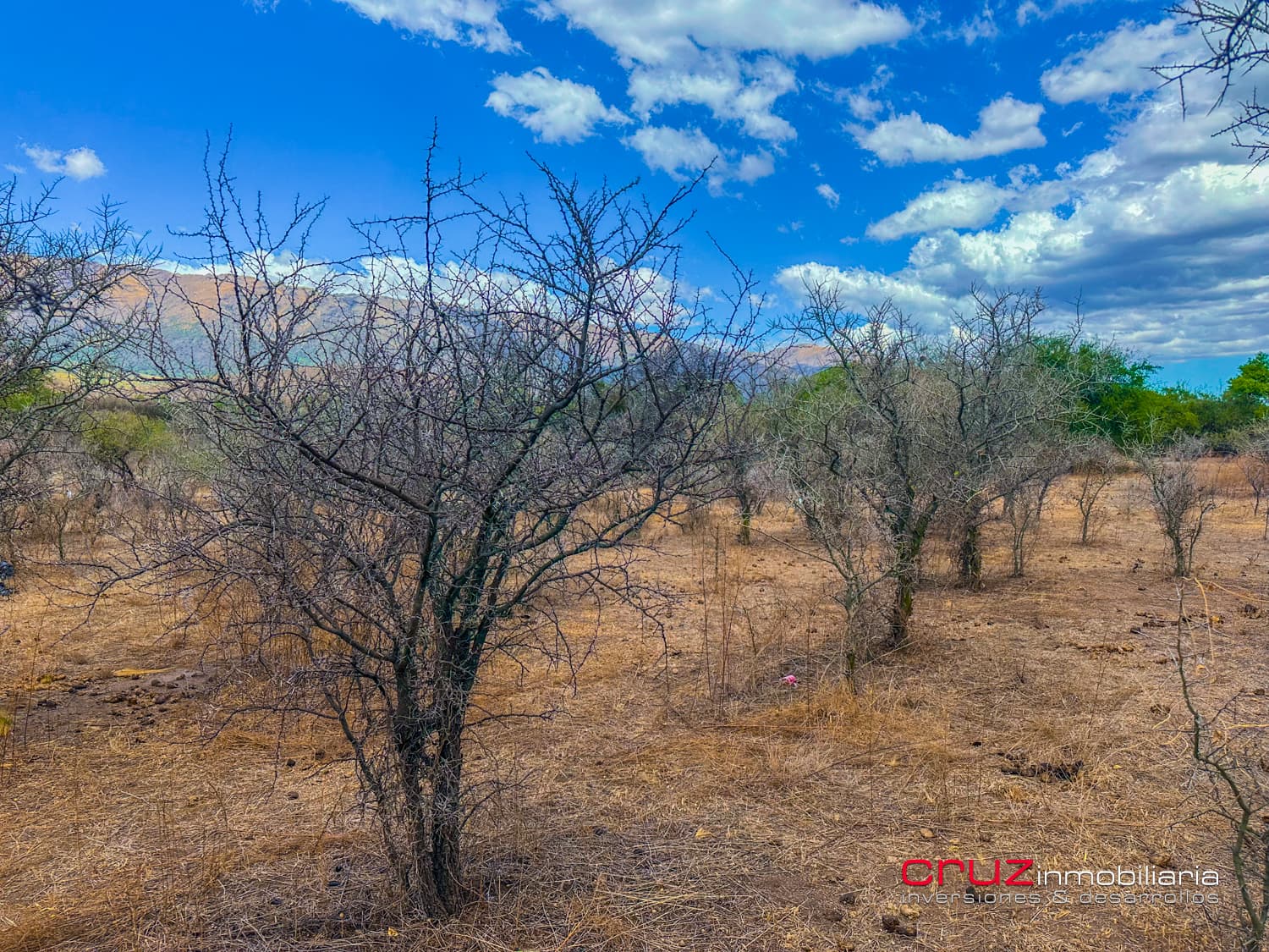 Lote de 2.519m2 en Carpintería - imagen 6