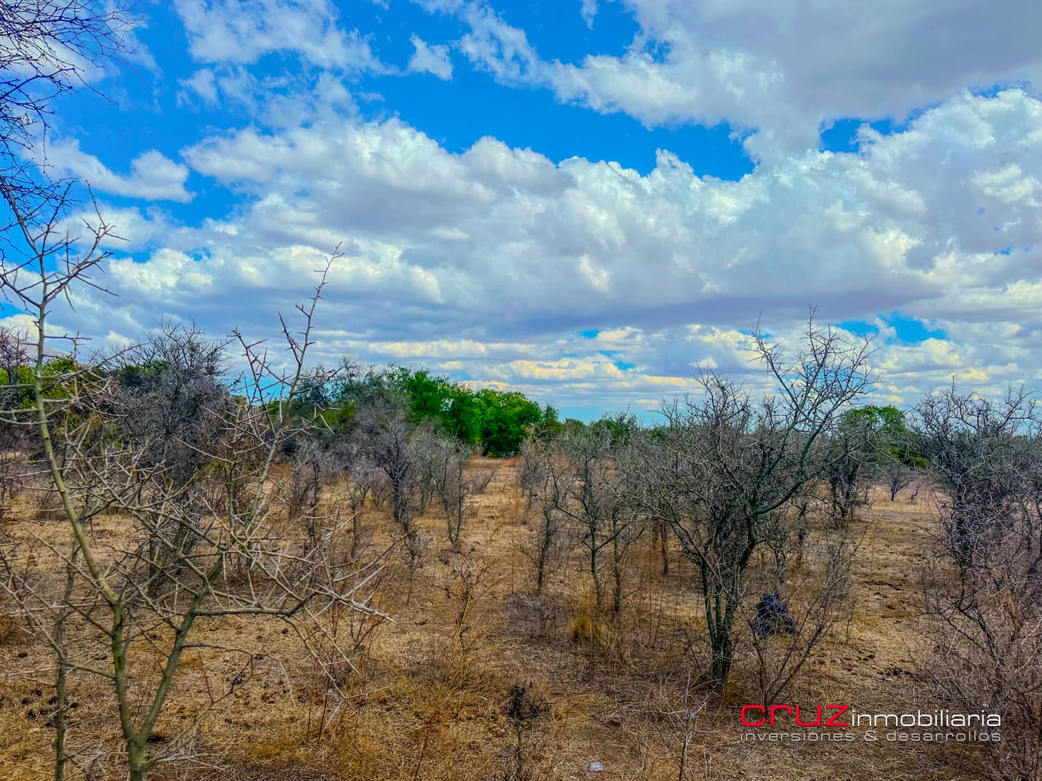 Lote de 2.519m2 en Carpintería - imagen 9