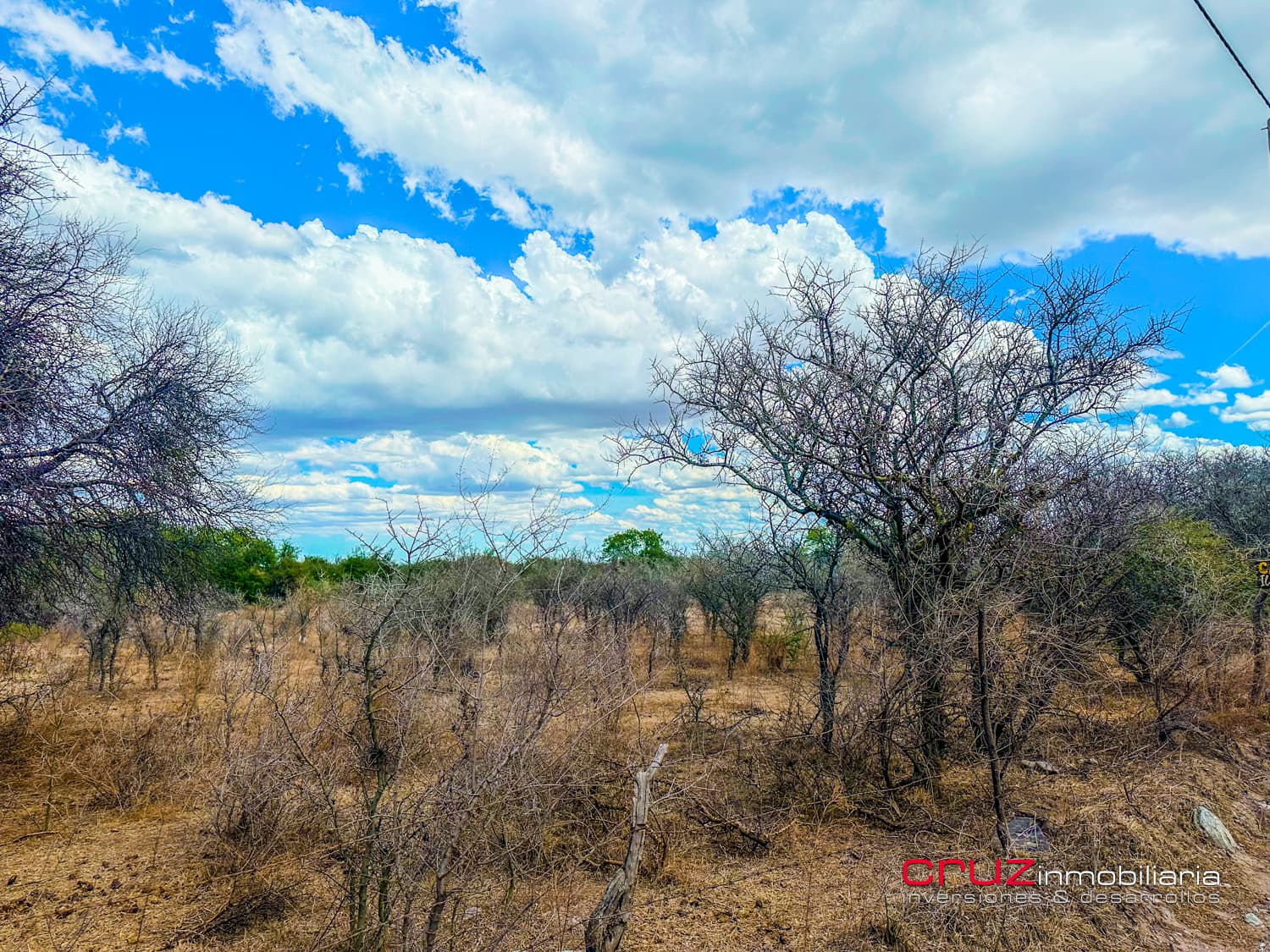 Lote de 2.519m2 en Carpintería - imagen 5