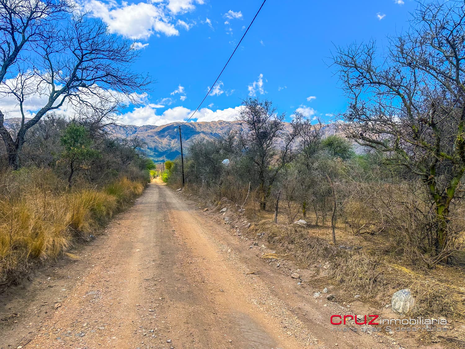 Lote de 2.519m2 en Carpintería - imagen 3