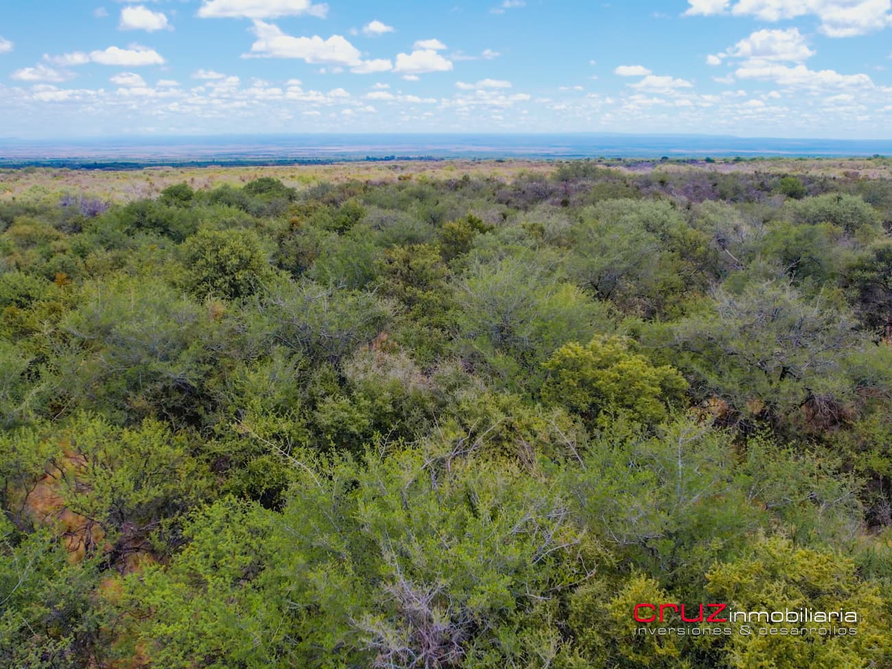 Campo de 21HA en Villa Larca sobre RUTA 1 - imagen 14
