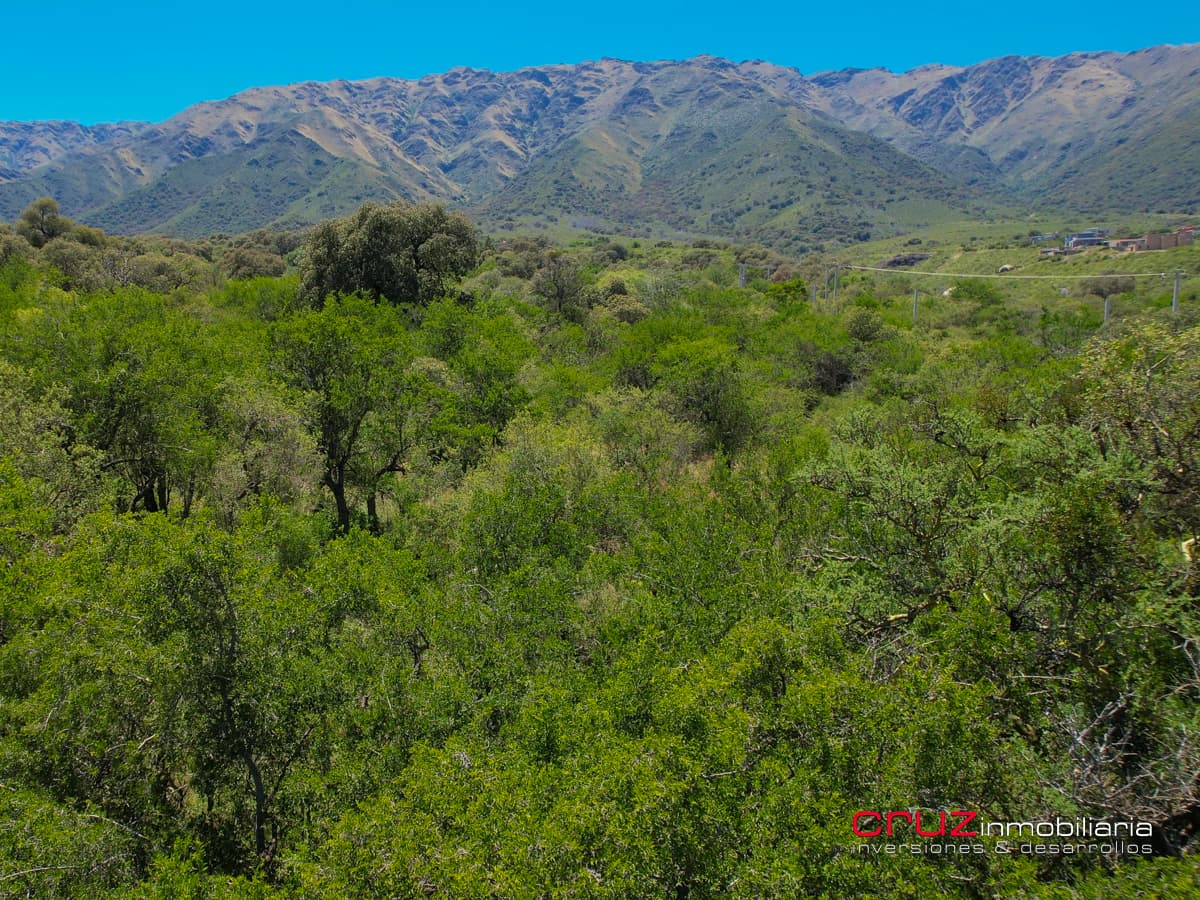 Lote de 5142m2 en Carpintería - imagen 15