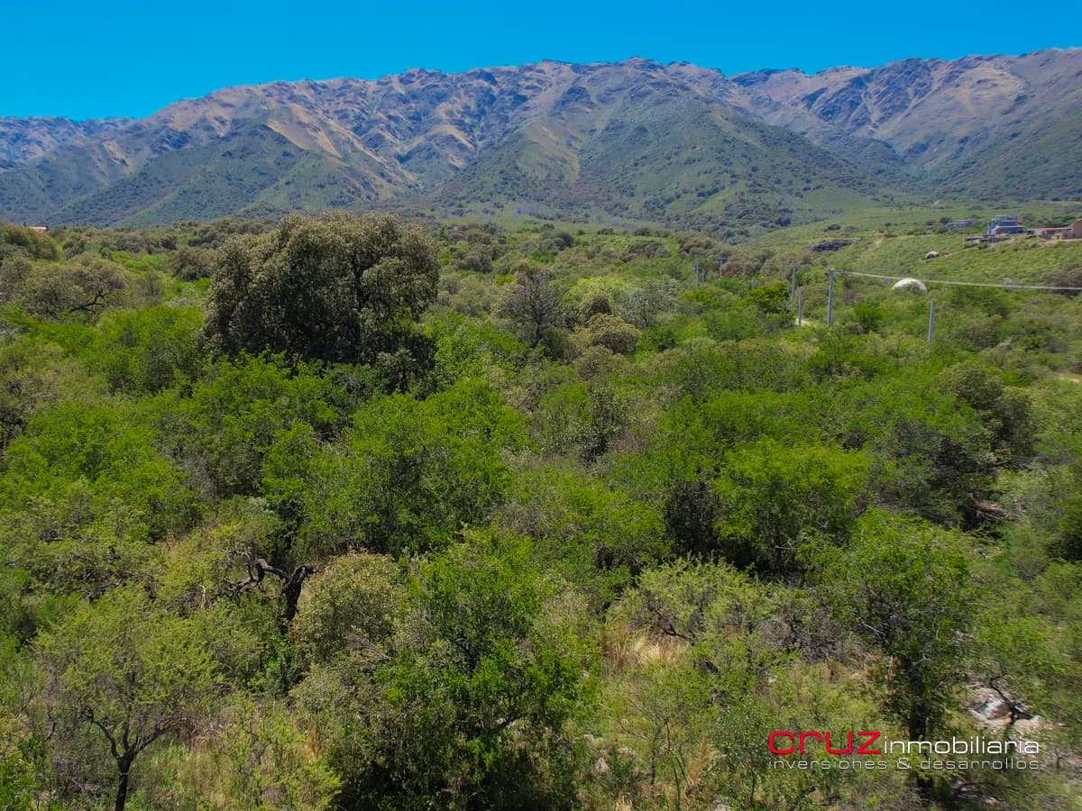 Lote de 5142m2 en Carpintería - imagen 16