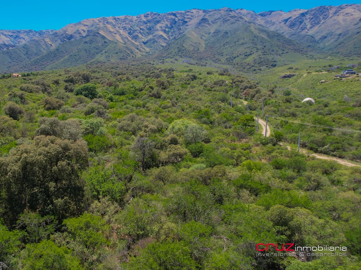 Lote de 5142m2 en Carpintería - imagen 13