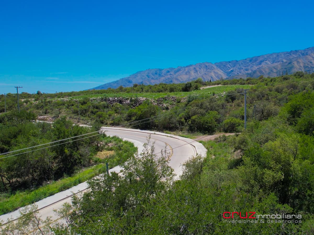 Lote de 5142m2 en Carpintería - imagen 7