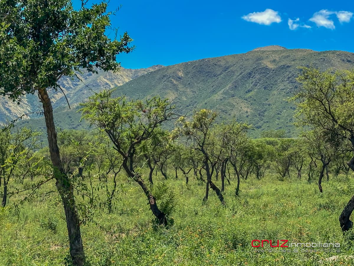 Casa de 87m2 en Cortaderas, Mirasierras - imagen 28
