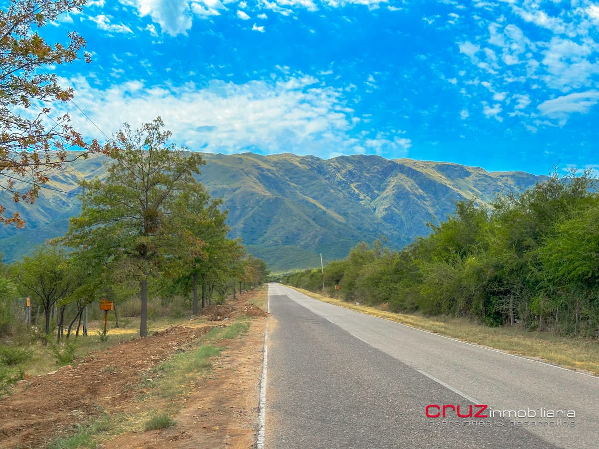 Ultimos Lotes de 5600m2 sobre Camino al Talar de Los Molles - imagen 6