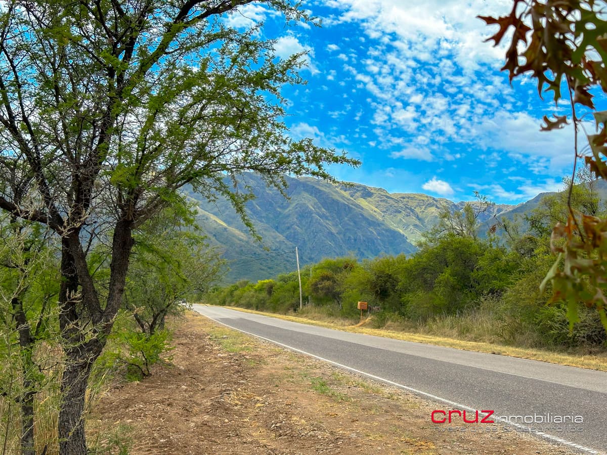 Ultimos Lotes de 5600m2 sobre Camino al Talar de Los Molles - imagen 4