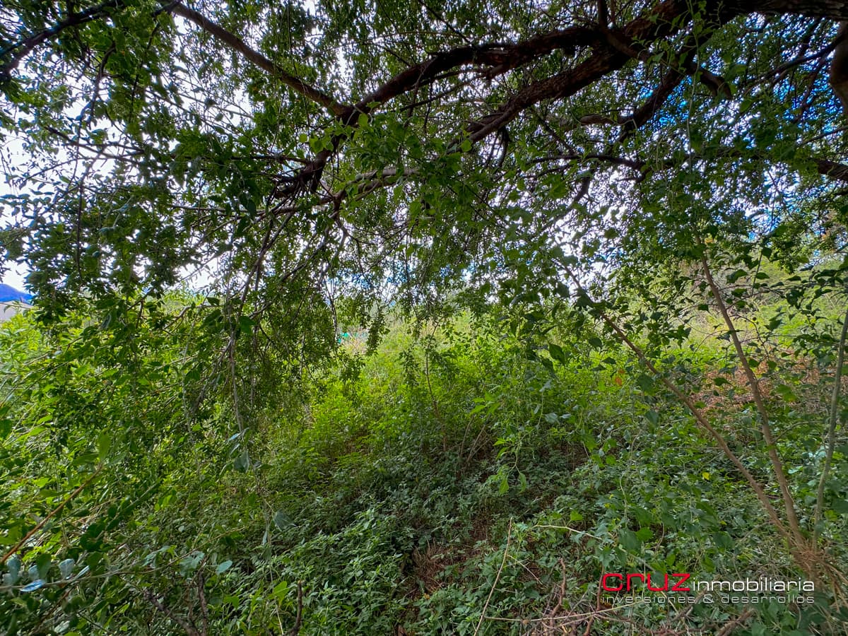 Lotes de 656m2 en Las Moreras, Villa de Merlo - imagen 13