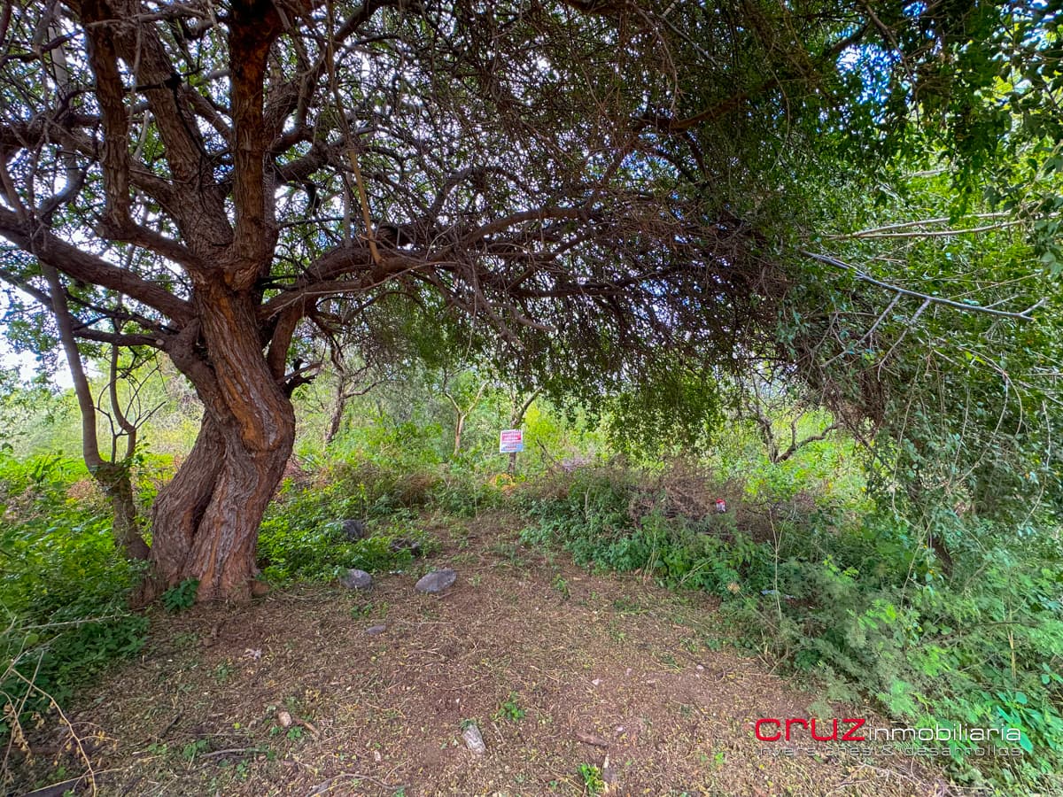 Lotes de 656m2 en Las Moreras, Villa de Merlo - imagen 8