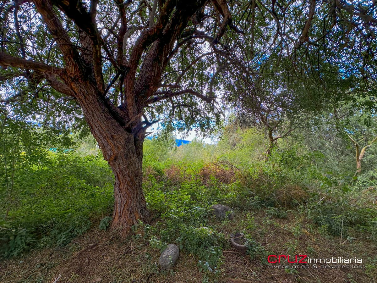 Lotes de 656m2 en Las Moreras, Villa de Merlo - imagen 3