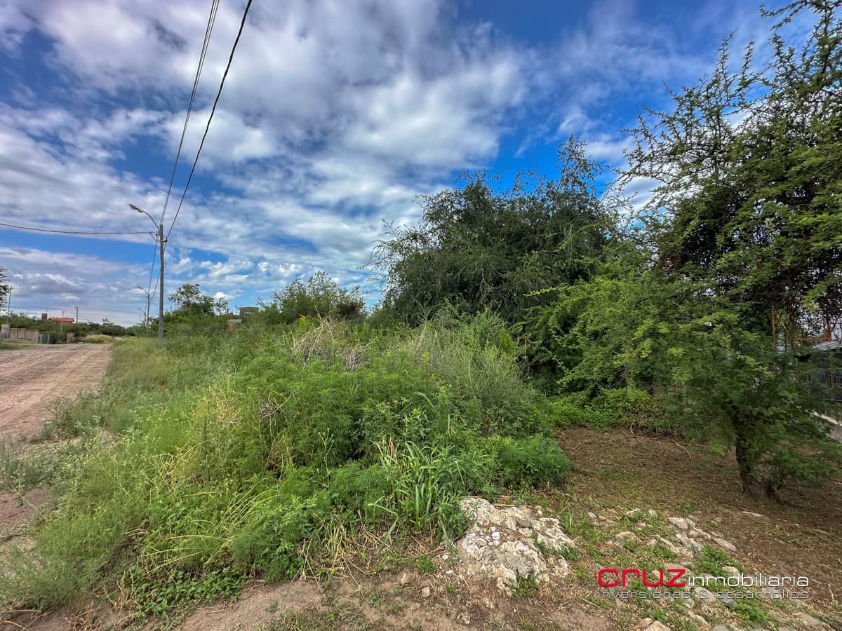 Lotes de 656m2 en Las Moreras, Villa de Merlo - imagen 15