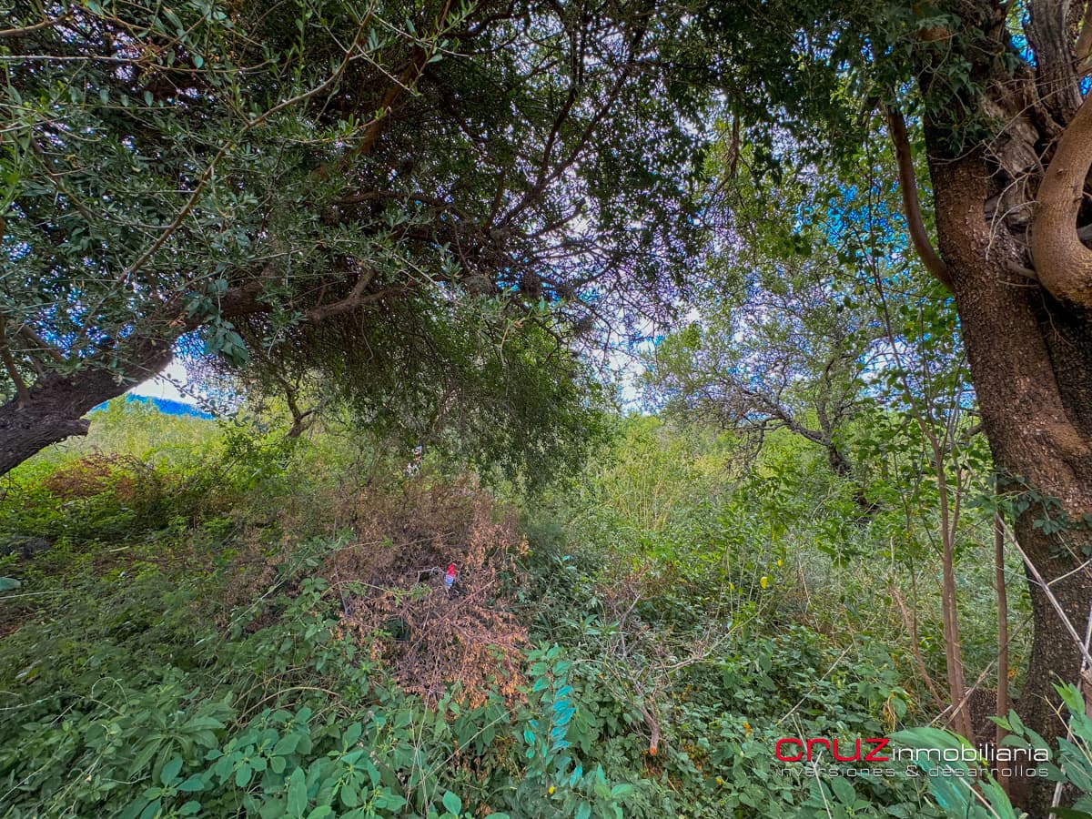 Lotes de 656m2 en Las Moreras, Villa de Merlo - imagen 4