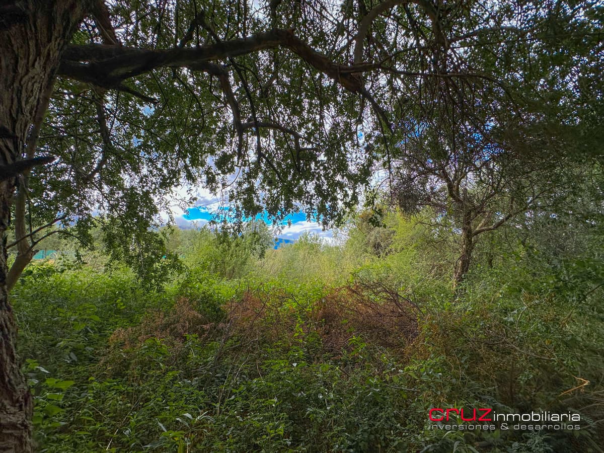 Lotes de 656m2 en Las Moreras, Villa de Merlo - imagen 14