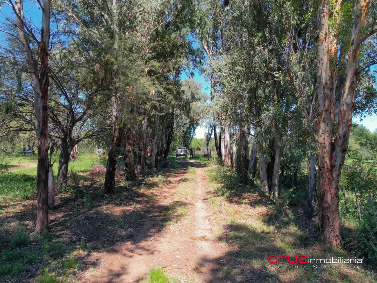 Campo de 29 Hectáreas en Villa de Merlo - imagen 3