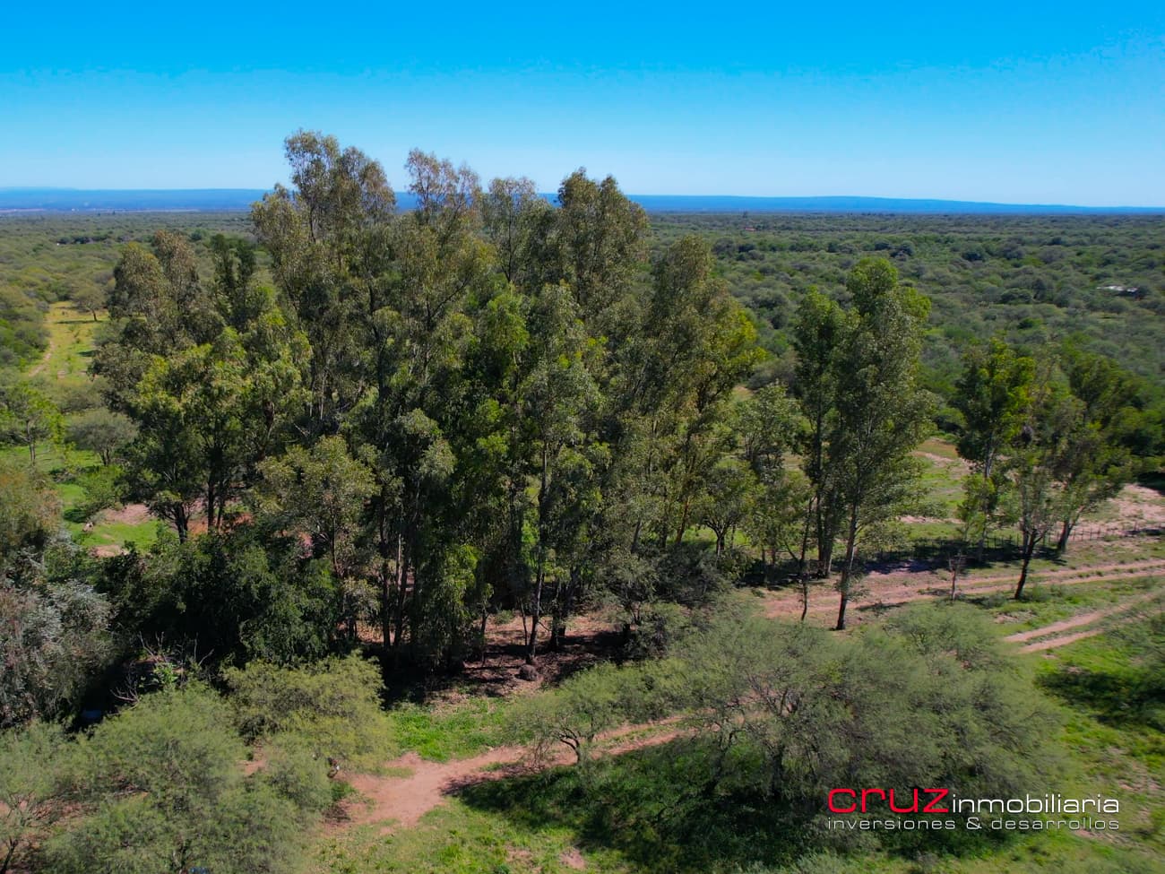 Campo de 29 Hectáreas en Villa de Merlo - imagen 5