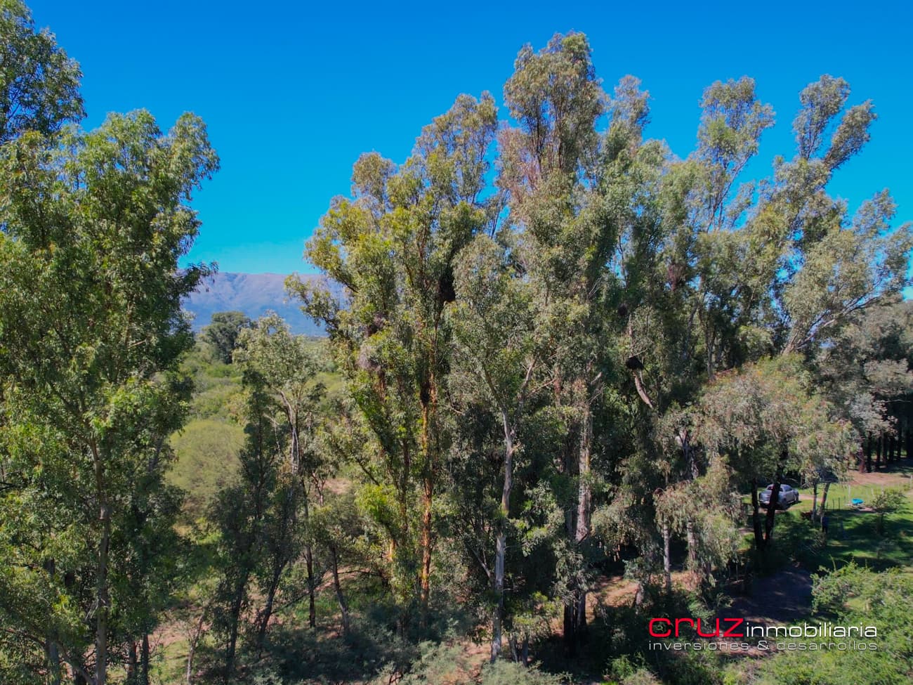 Campo de 29 Hectáreas en Villa de Merlo
