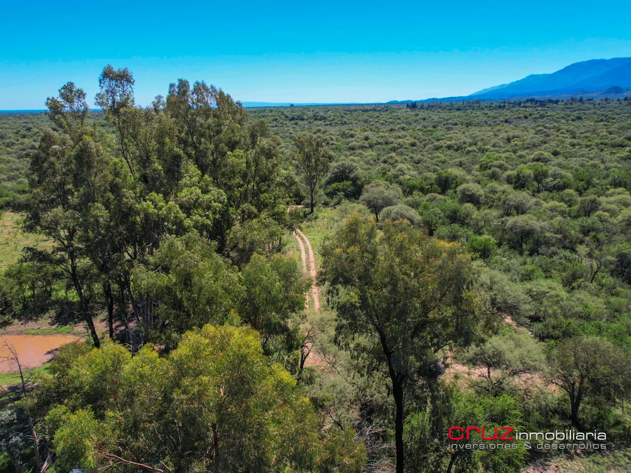 Campo de 29 Hectáreas en Villa de Merlo - imagen 10